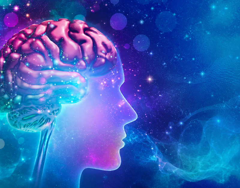 Psychedelic Drug Development